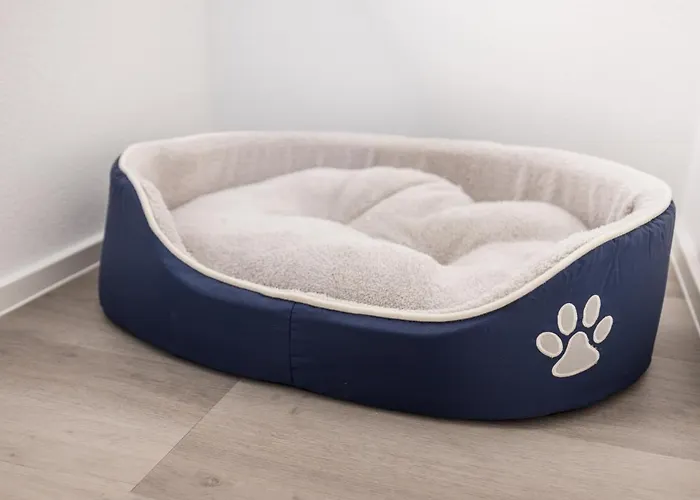 شقة فندقية Max سخليترس